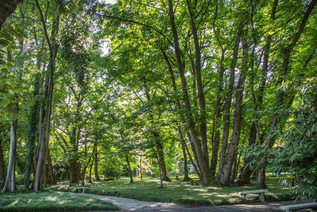 Villa Revedin Gorgo al Monticano Exteriér fotografie